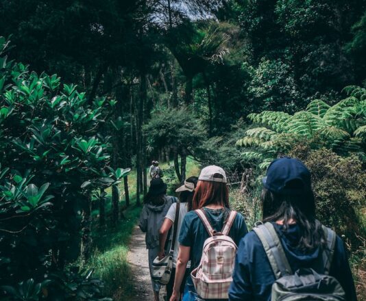 Free Family Activity: 7 Things to Do on a Nature Walk