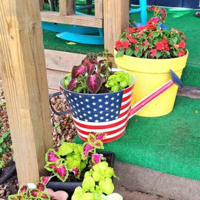 How to Develop a Container Garden