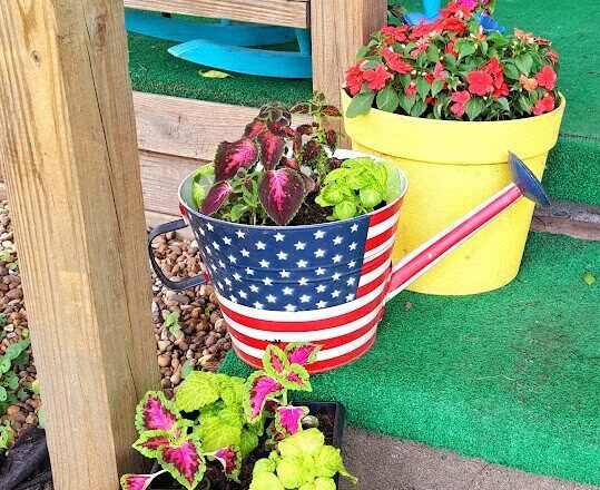 How to Develop a Container Garden