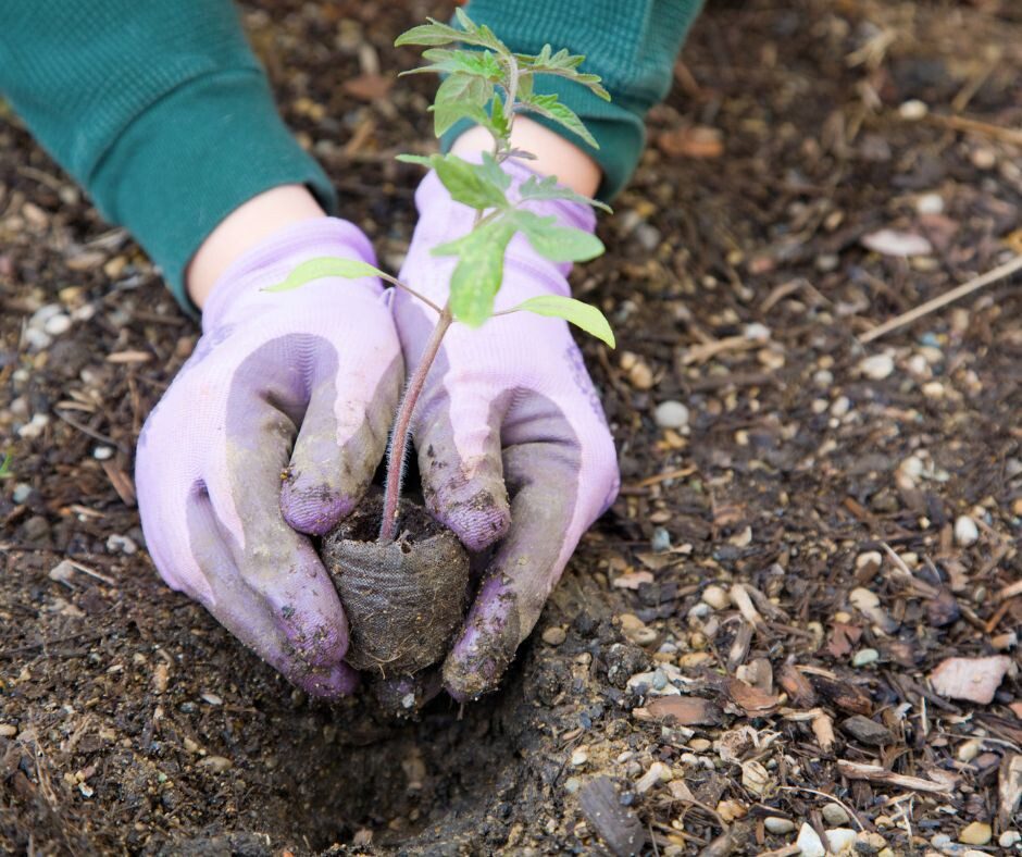 gardening